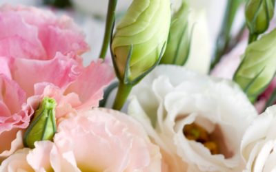 Miten ravistaa elämän perusteita ja luoda aitoa muutosta?