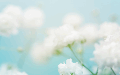 Miksi oman polun kulkijat menestyvät?