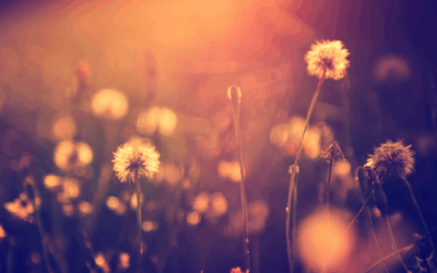 7 askelta miten löydät rohkean sielusi