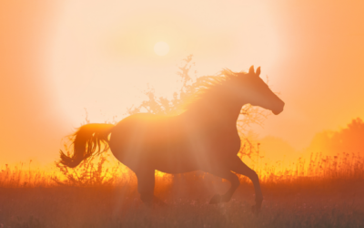 Päivä, jolloin maailma hengitti sisään uutta energiaa…